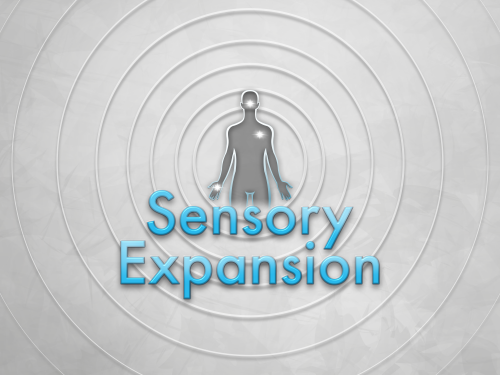 Formazione live e online in SENSORY EXPANSION