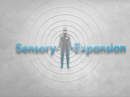 Formazione live e online in SENSORY EXPANSION